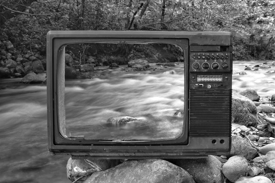 cult classic TV